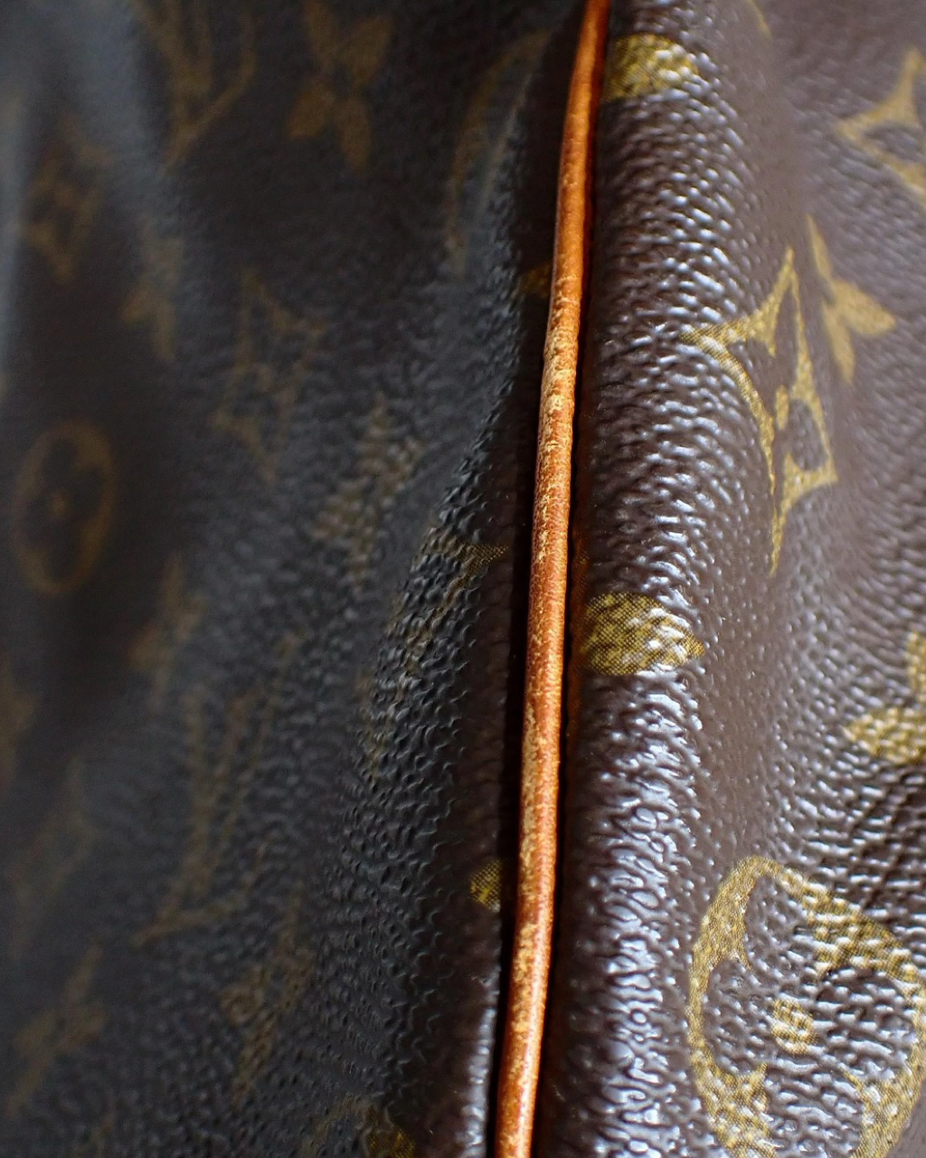 Louis Vuitton Speedy 35 bag