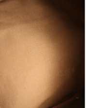 Louis Vuitton Papillon Monogram 30 Bag