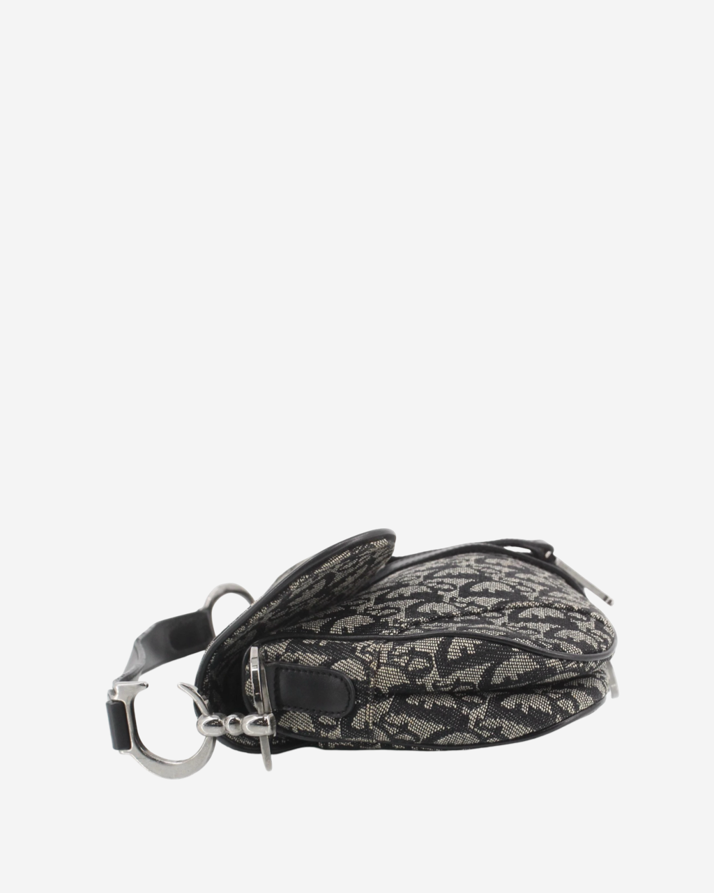 Dior Double Saddle Bag