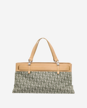 Dior Trotter bag