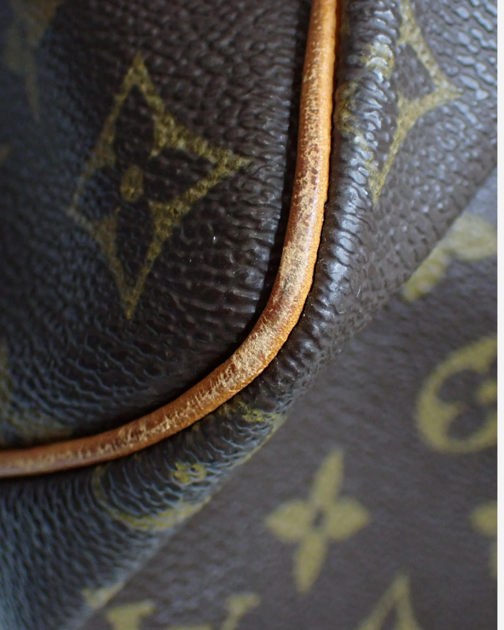 Louis Vuitton Speedy 40 bag