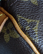 Louis Vuitton Speedy 40 bag