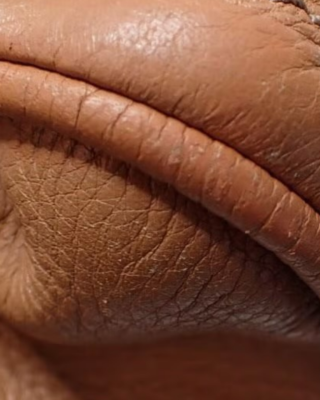 Chloe Paddington bag