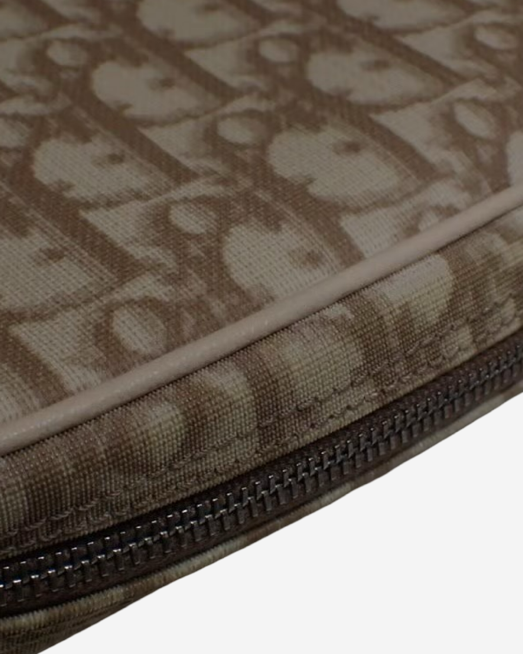 Dior Floral Trotter Bag