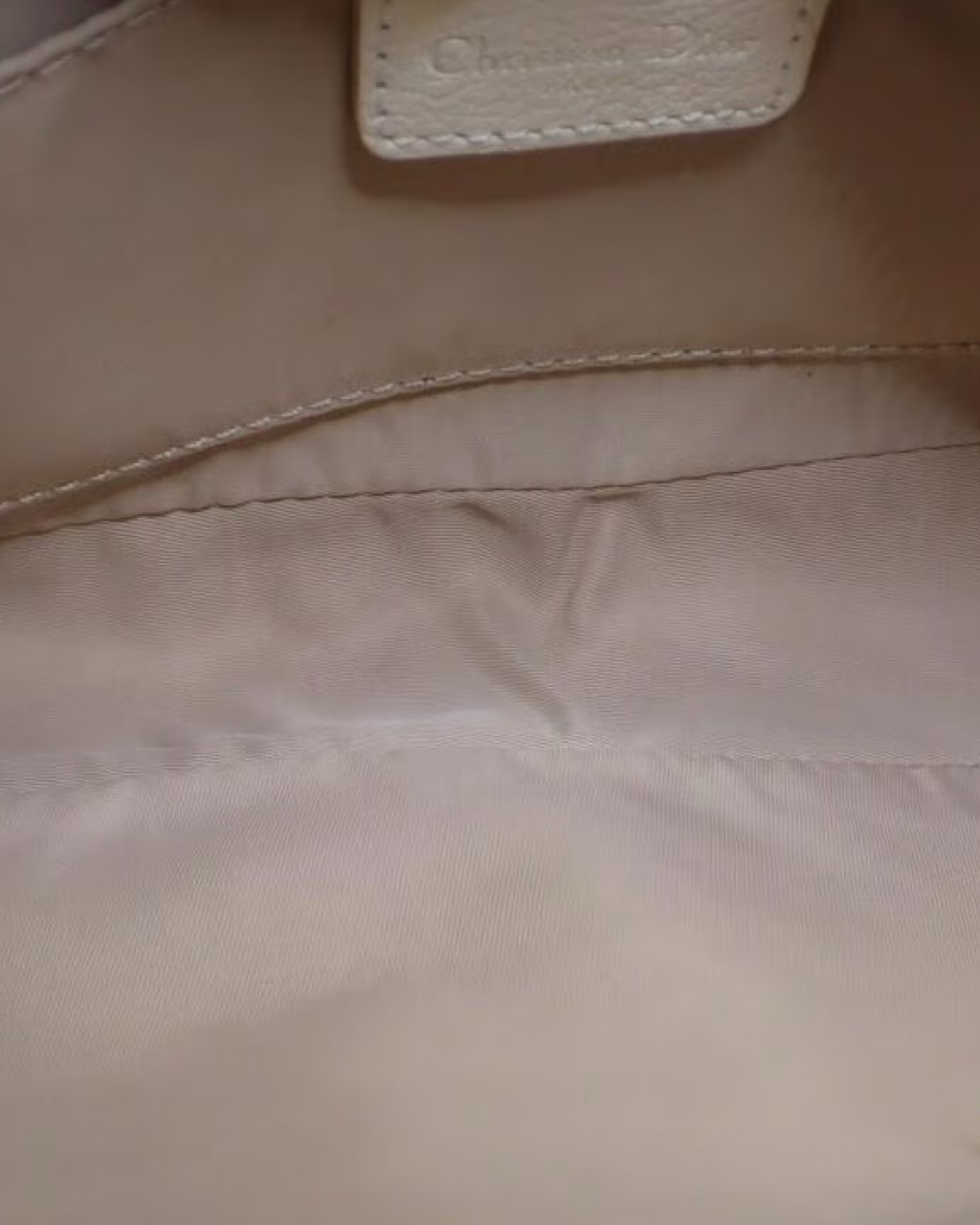 Dior Floral Trotter Bag