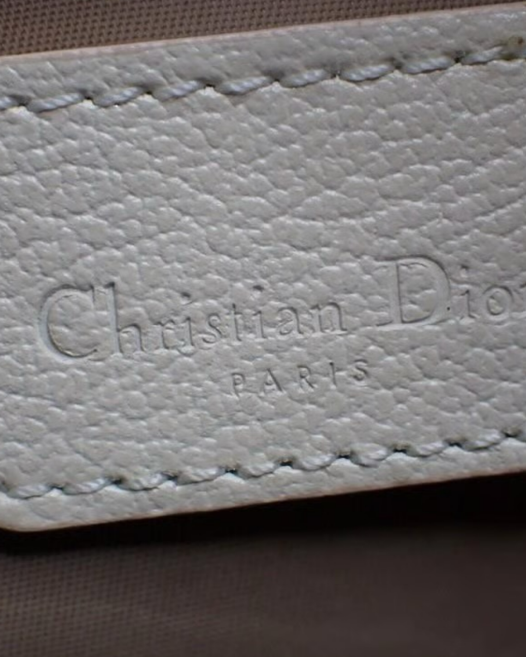 Dior Floral Trotter Bag