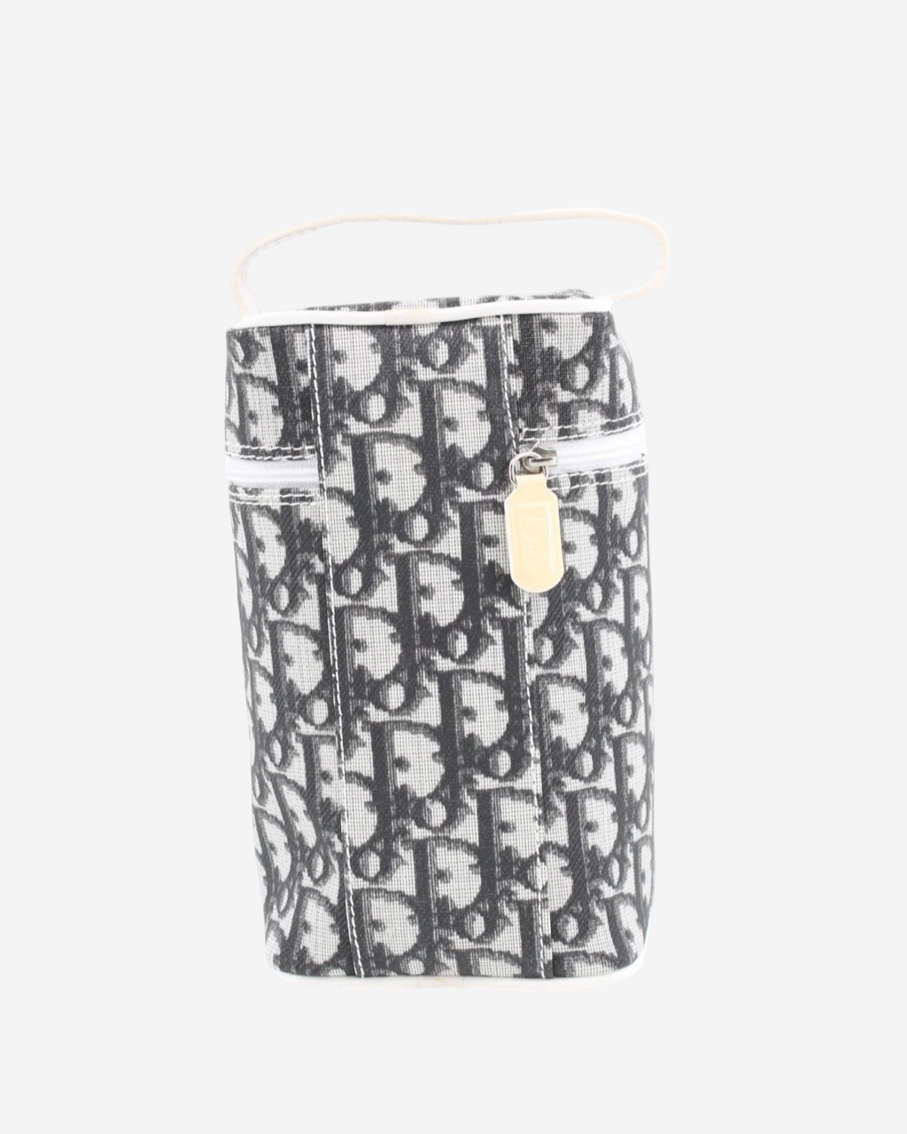 Dior Trotter Pouch