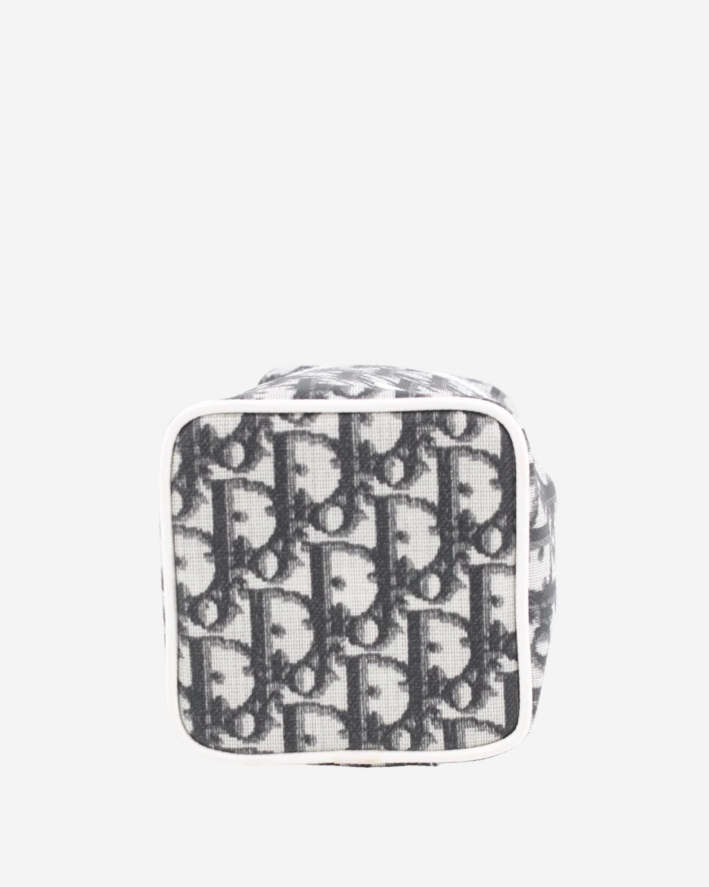 Dior Trotter Pouch