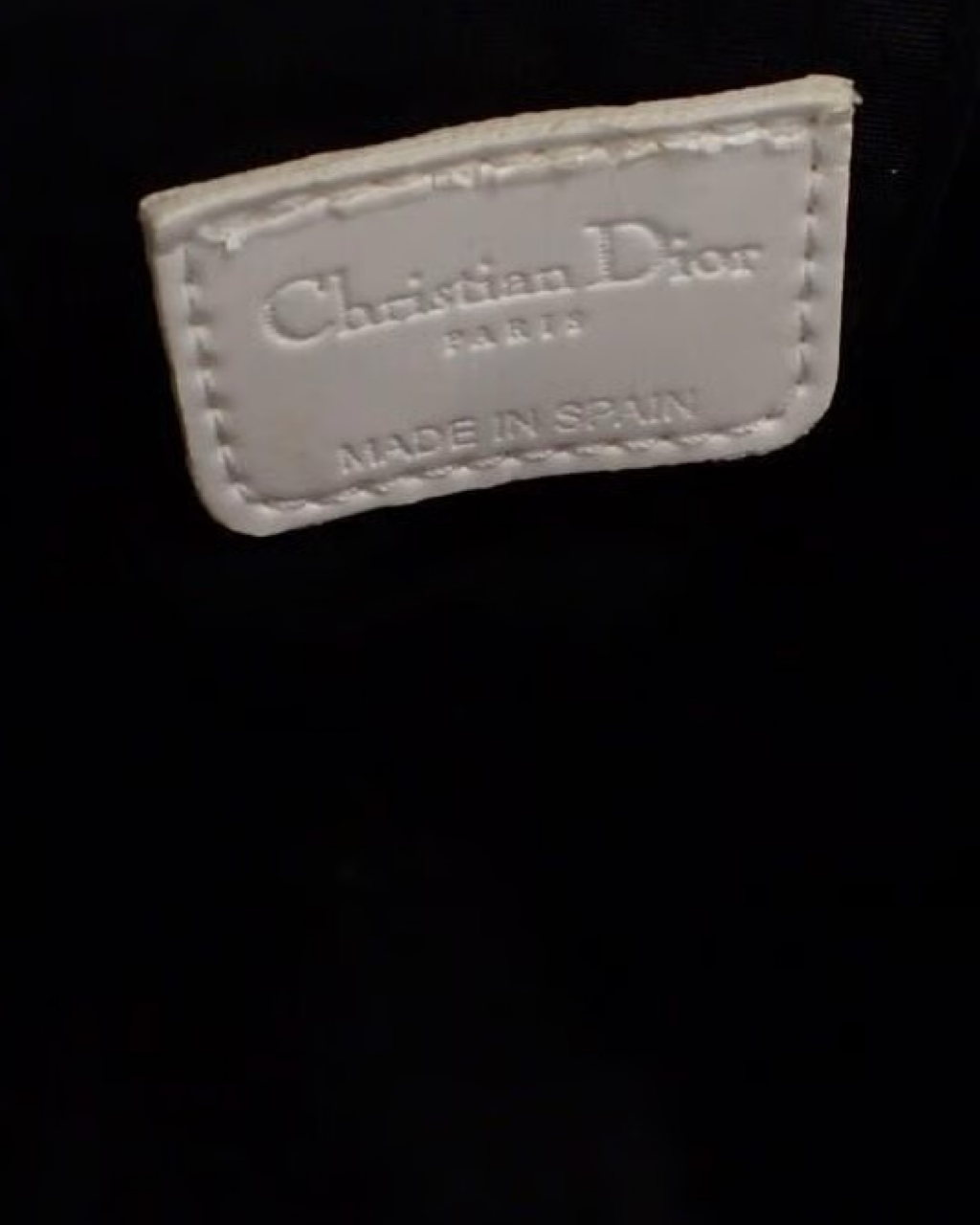 Dior Trotter Pouch