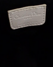 Dior Trotter Pouch