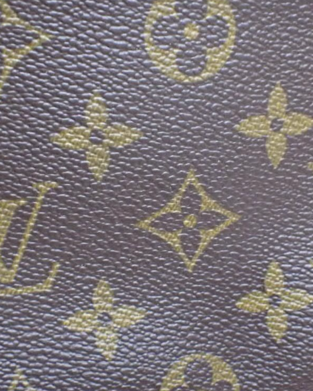 Louis Vuitton Pochette Monogram Bag