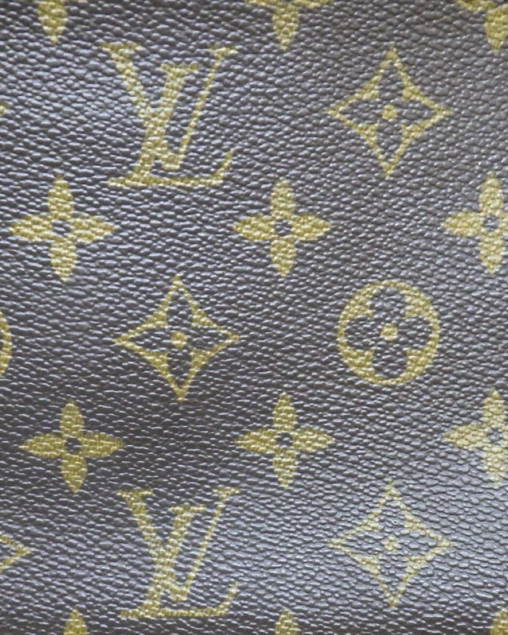 Louis Vuitton Pochette Monogram Bag