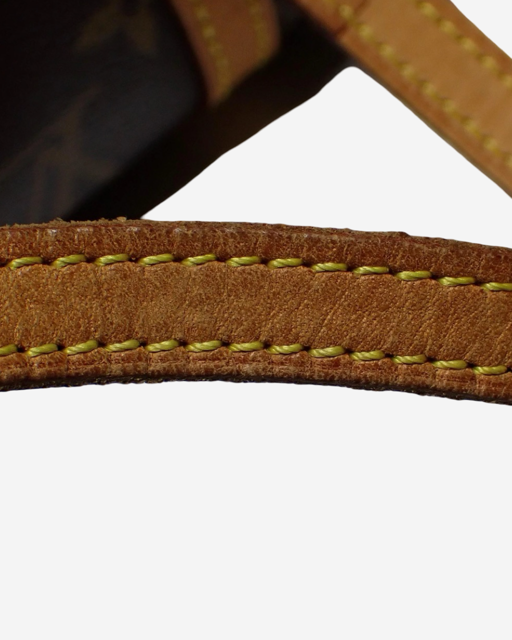 Louis Vuitton Papillon 26 bag