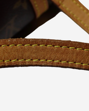 Louis Vuitton Papillon 26 bag