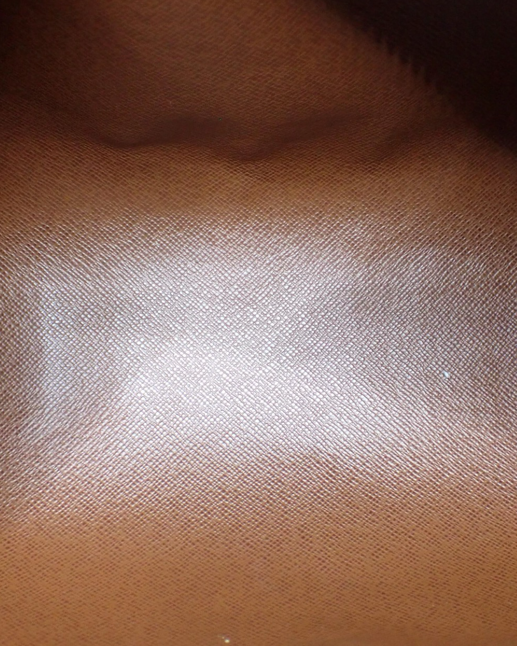 Louis Vuitton Papillon 26 bag