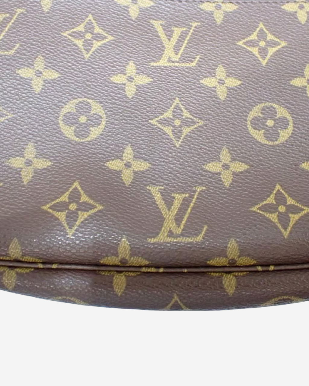 Louis Vuitton Pochette Monogram Bag