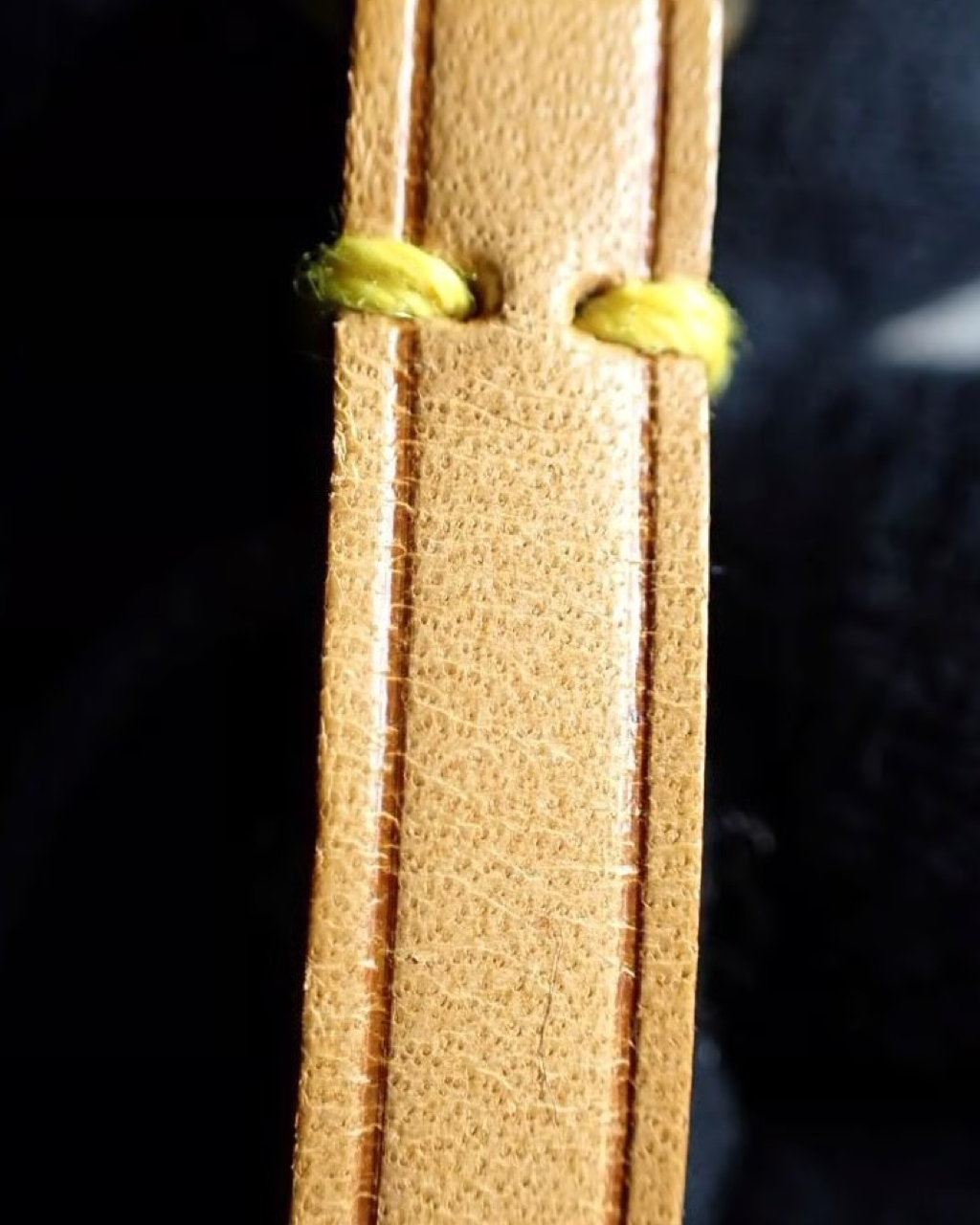 Louis Vuitton Pochette Monogram Bag