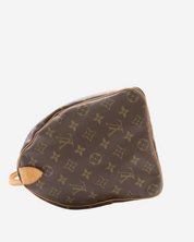 Louis Vuitton Speedy Monogram 35 bag