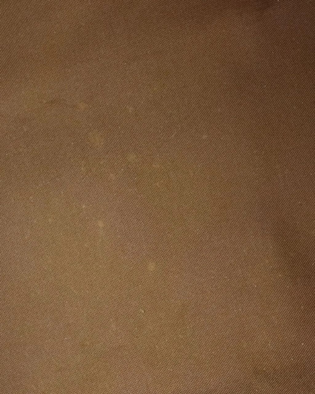 Louis Vuitton Speedy Monogram 35 bag