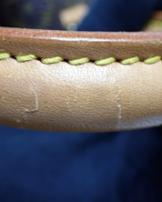 Louis Vuitton Speedy Monogram 35 bag