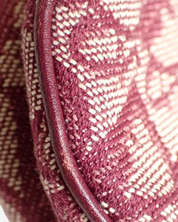 Bolso Dior Trotter Saddle