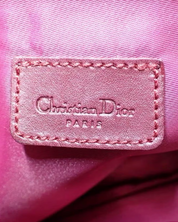 Bolso Dior Trotter Saddle