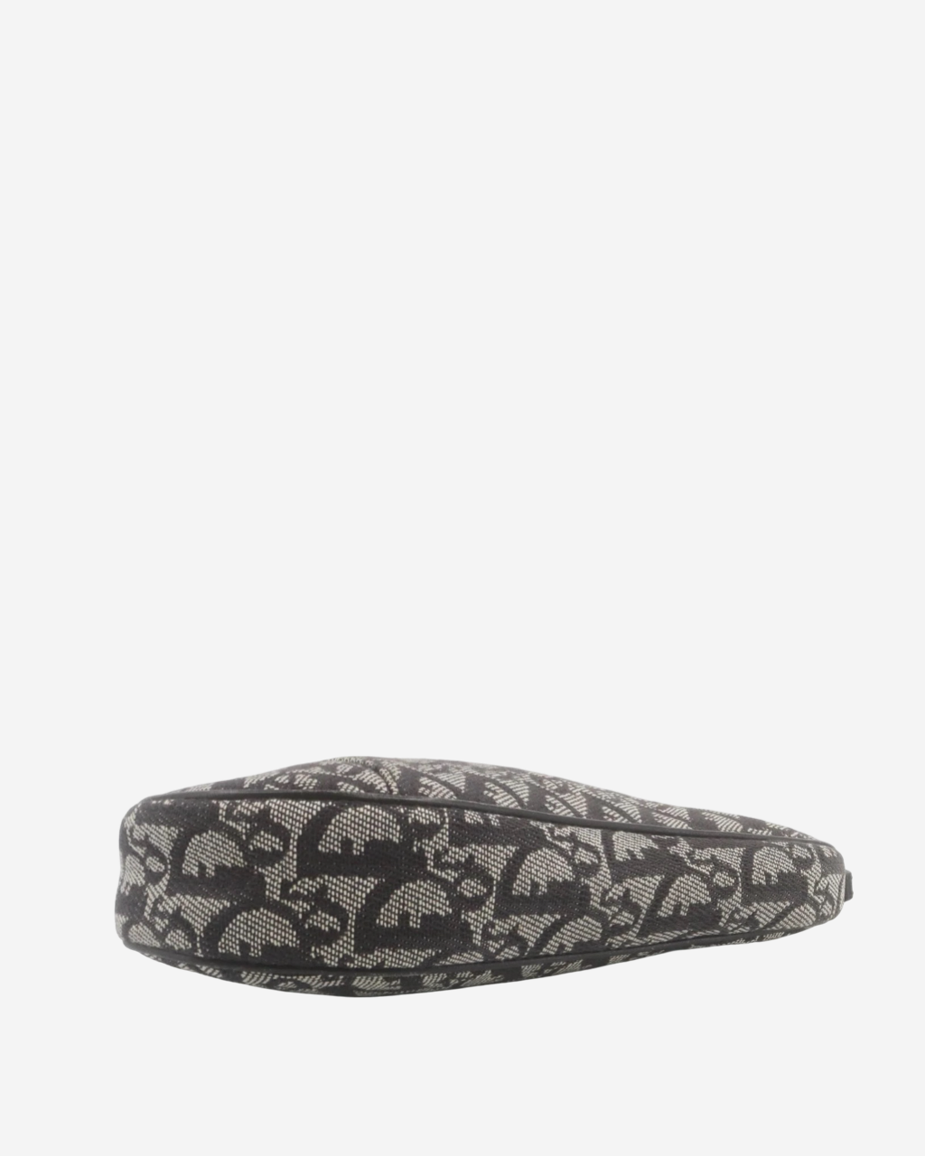 Bolso Dior Trotter Saddle