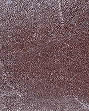 Fendi Mamma Baguette Zucca Bag