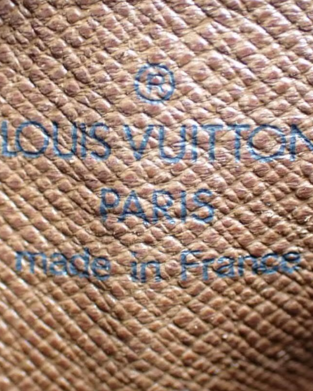 Louis Vuitton Papillon 26 bag