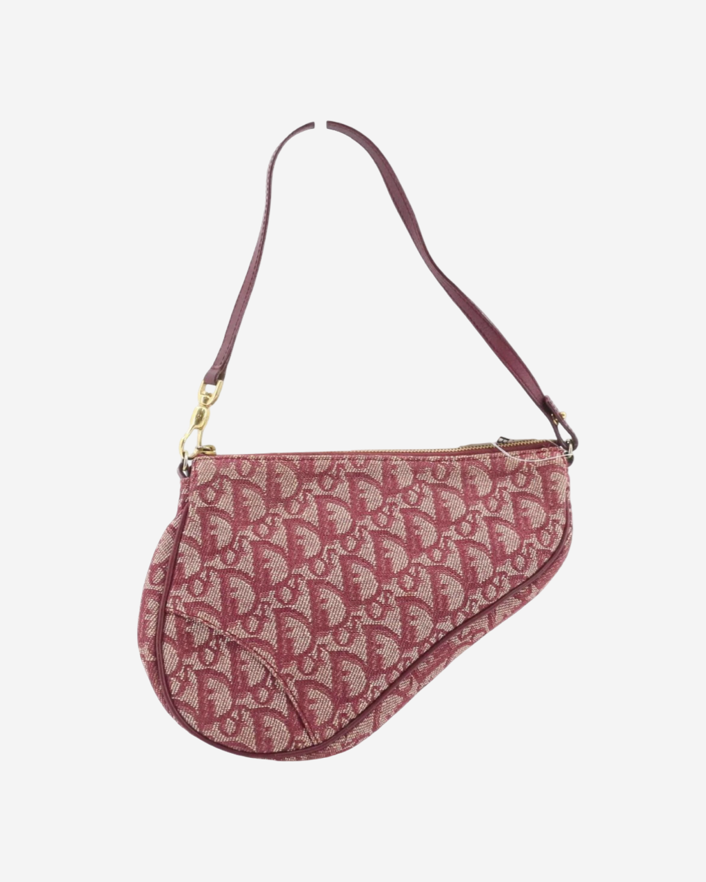 Dior Saddle Trotter bag