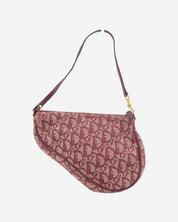 Dior Saddle Trotter bag