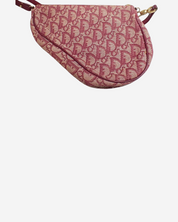 Dior Saddle Trotter bag