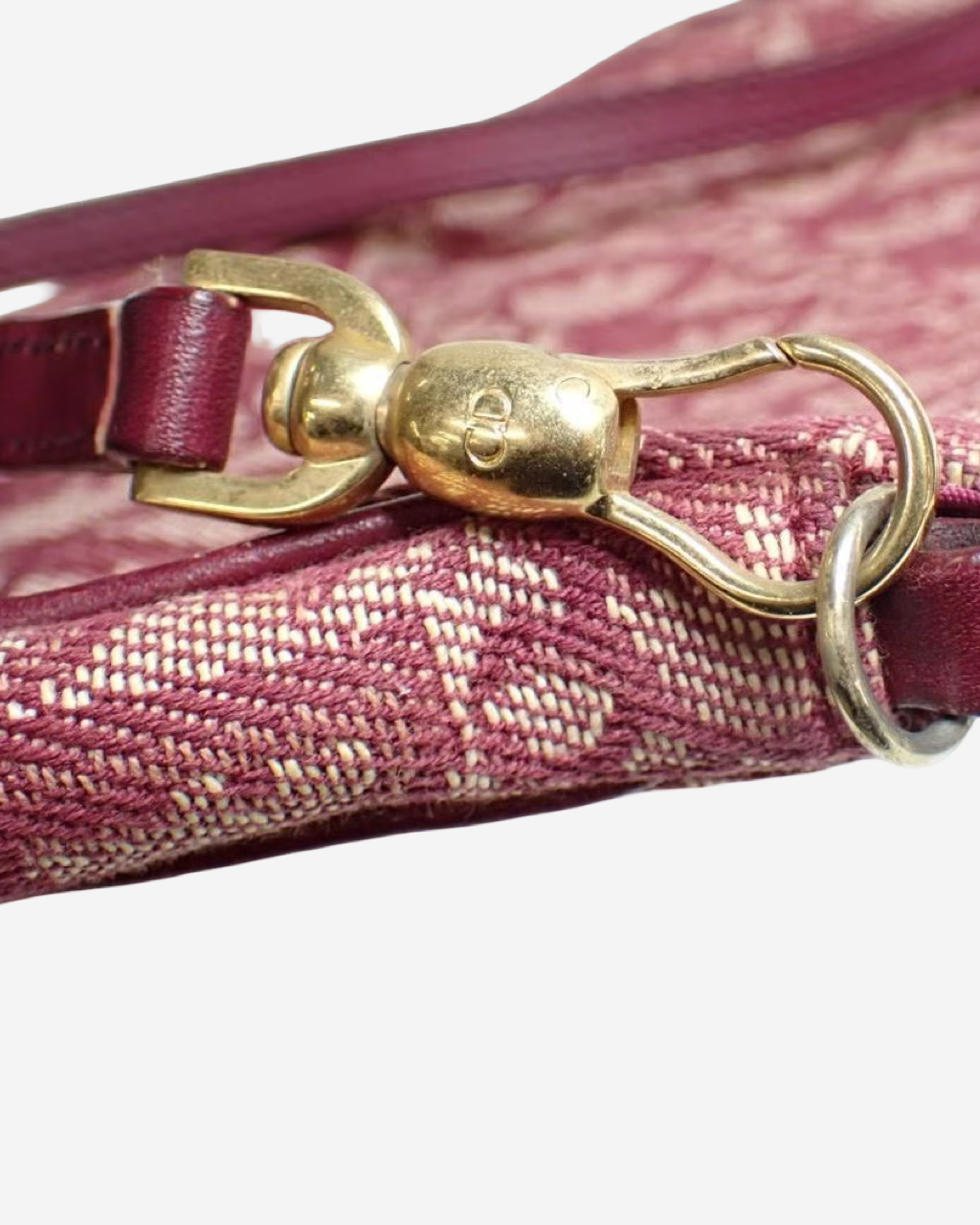 Dior Saddle Trotter bag