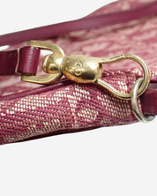 Dior Saddle Trotter bag