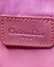Dior Saddle Trotter bag