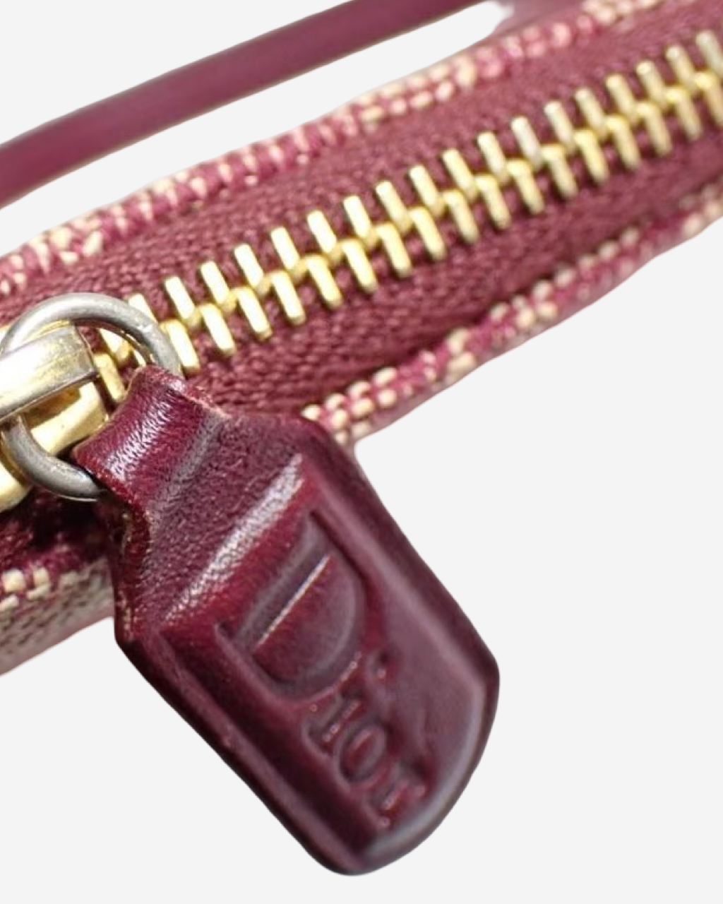 Dior Saddle Trotter bag