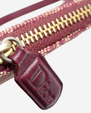 Dior Saddle Trotter bag