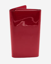 Cartera Louis Vuitton Louise Vernise