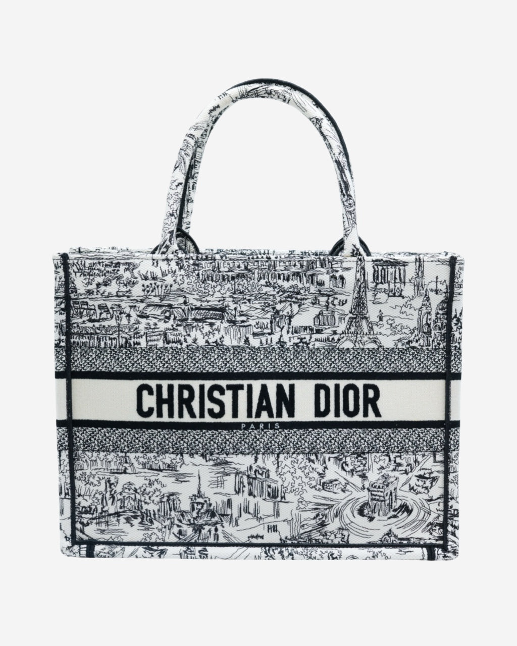 Bolsa Dior Book Tote 2024