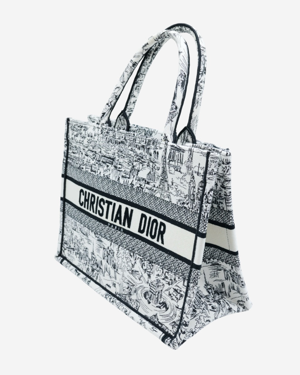 Bolsa Dior Book Tote 2024