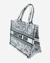 Bolsa Dior Book Tote 2024