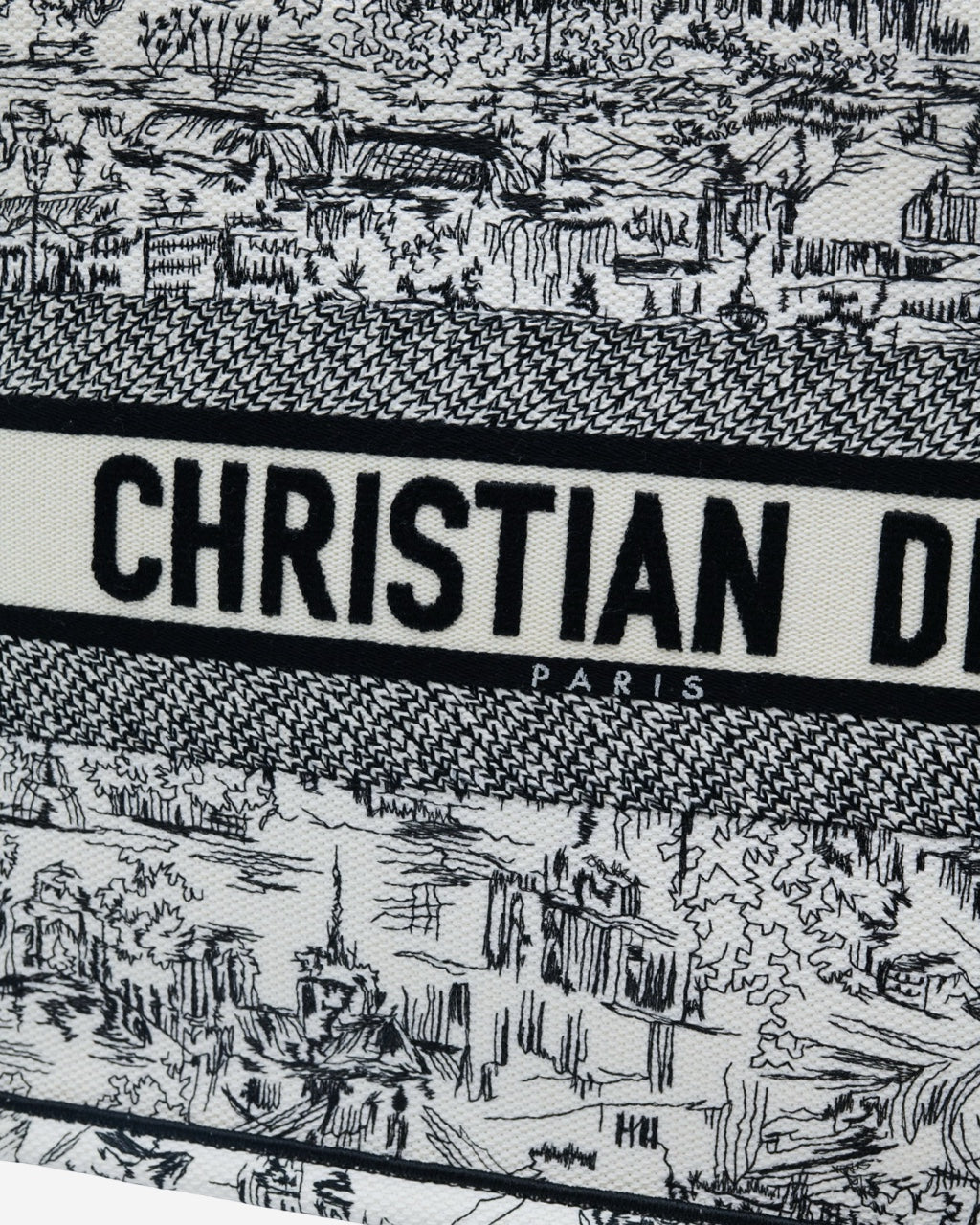 Bolsa Dior Book Tote 2024