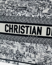 Bolsa Dior Book Tote 2024