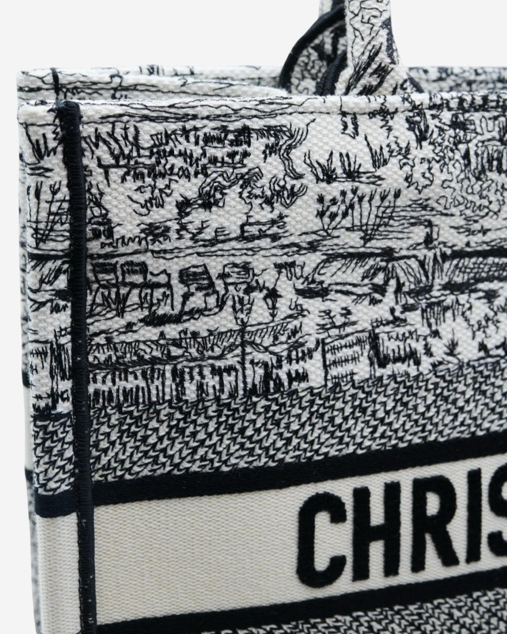 Bolsa Dior Book Tote 2024