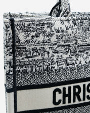 Bolsa Dior Book Tote 2024