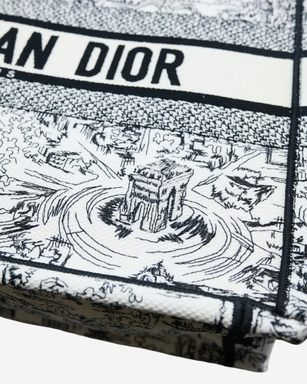 Bolsa Dior Book Tote 2024