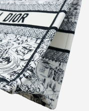 Bolsa Dior Book Tote 2024
