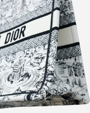 Bolsa Dior Book Tote 2024