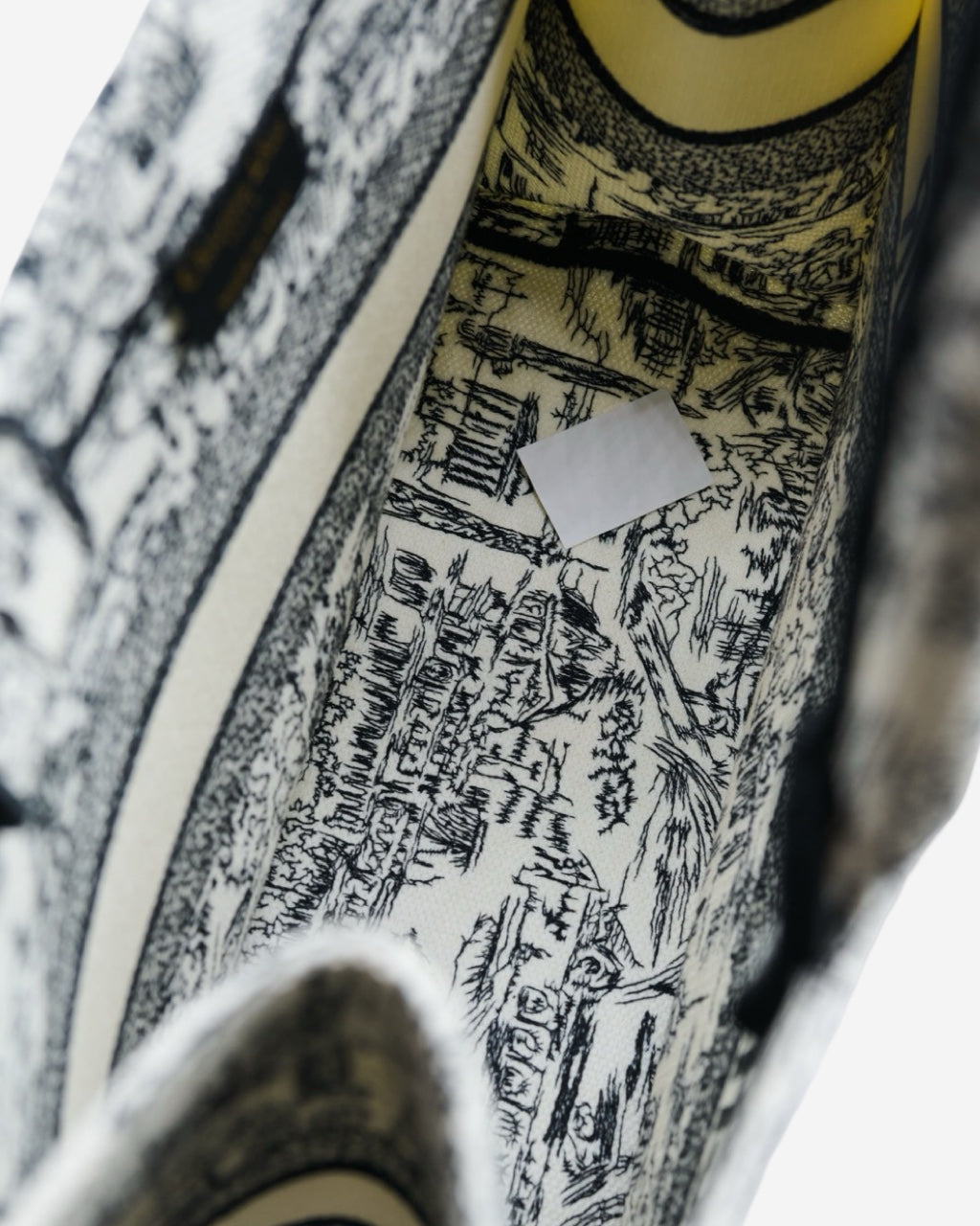 Bolsa Dior Book Tote 2024