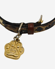 Collar para Mascotas Dolce & Gabbana